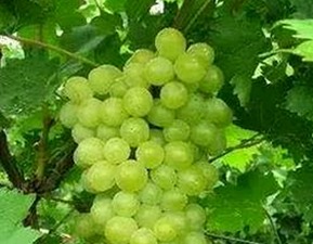 娱乐圈吃瓜风暴背后的冷静观察：明星与真相的反差故事