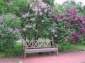 揭秘娱乐圈爆料幕后推手:吃瓜档案背后的真相